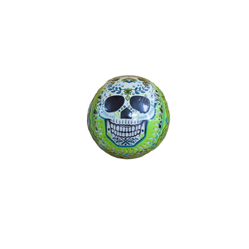 Bradenton Barbanegras Sugar Skull Baseball