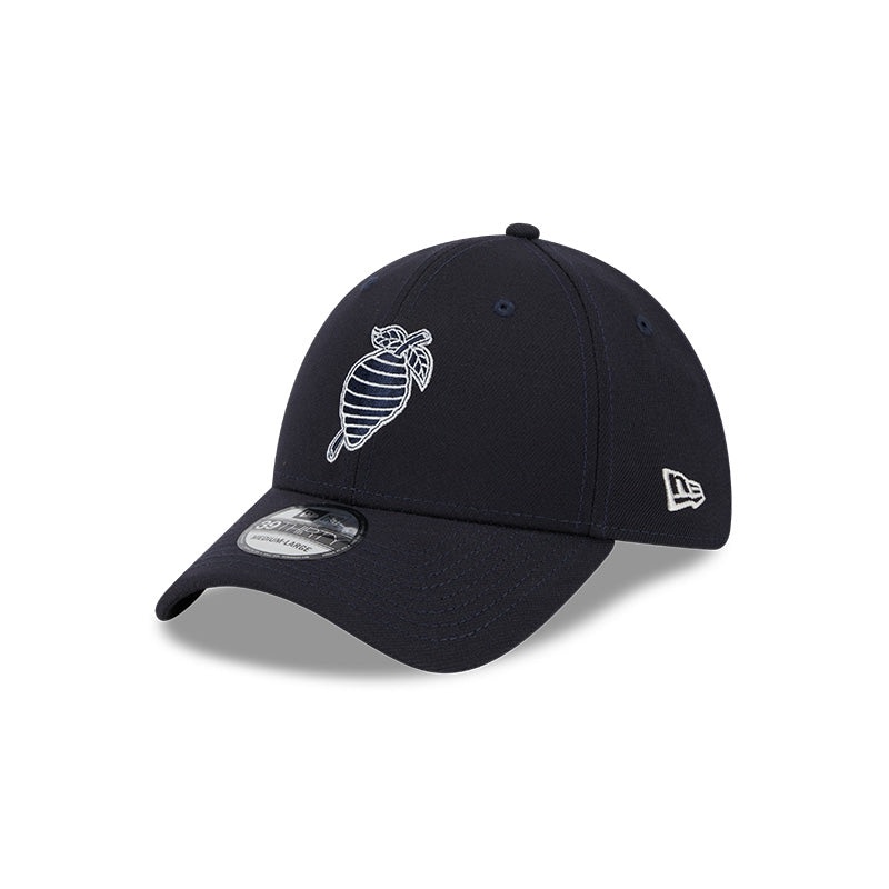 Charlotte Knights New Era Black Hornets 3930 Cap