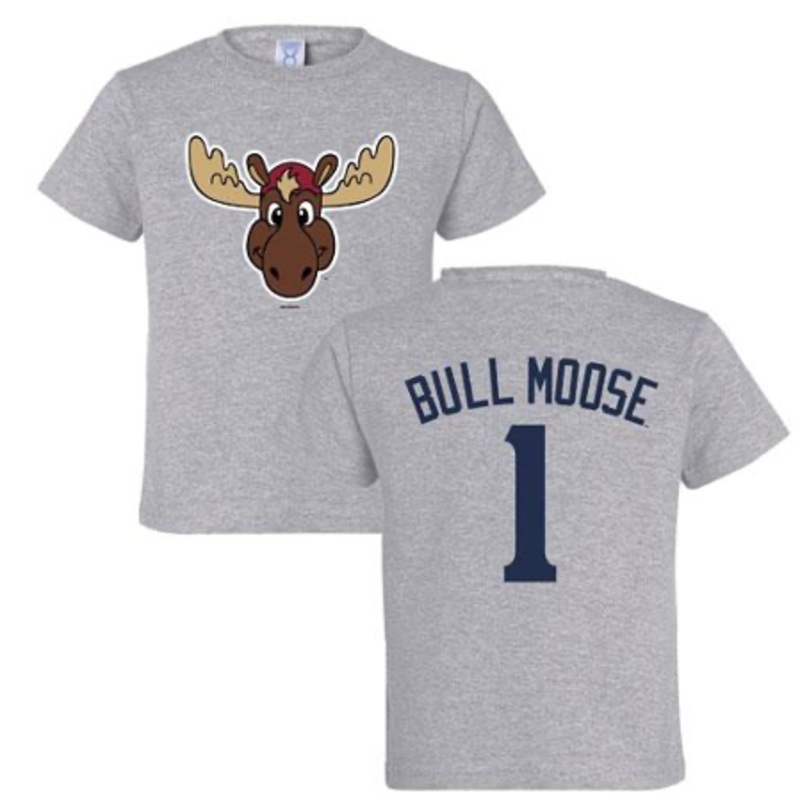 Toddler Bull Moose Heather Tee