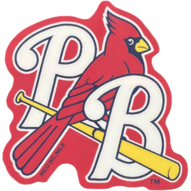 PBC MAGNET BIRD ON BAT