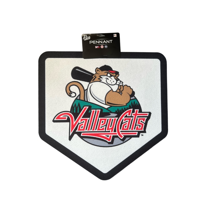 ValleyCats Pennants