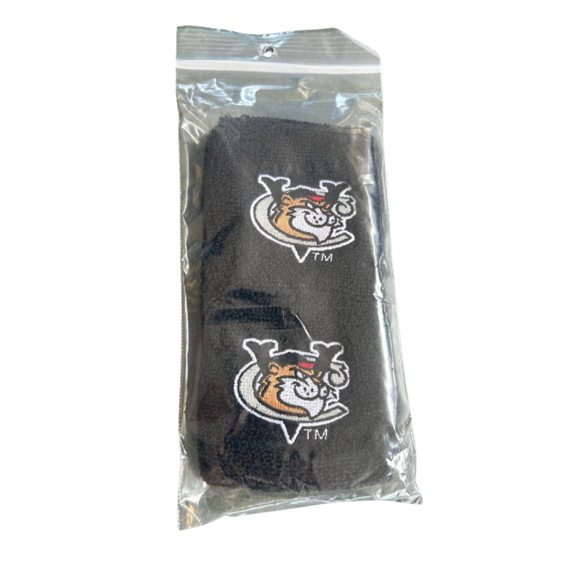 ValleyCats Wristbands