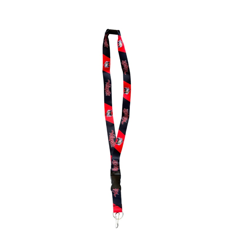 ValleyCats Lanyard