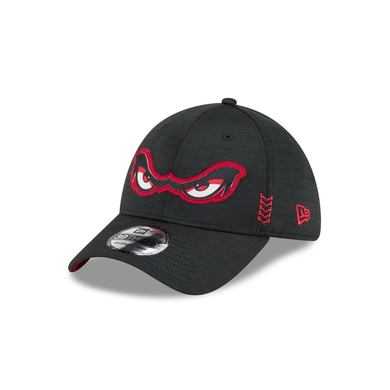 Lake Elsinore Storm Clubhouse 2024 3930
