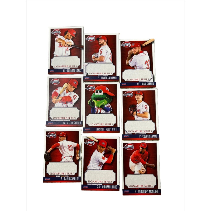Greenville Drive 2024 Team Baseball Card Set