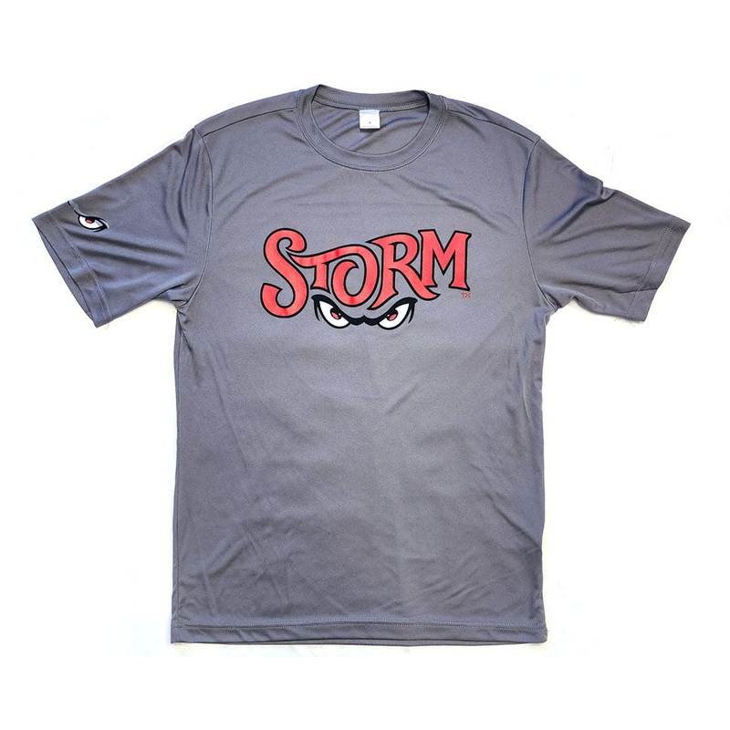 Lake Elsinore Storm New Wordmark Performance Tee – Grey