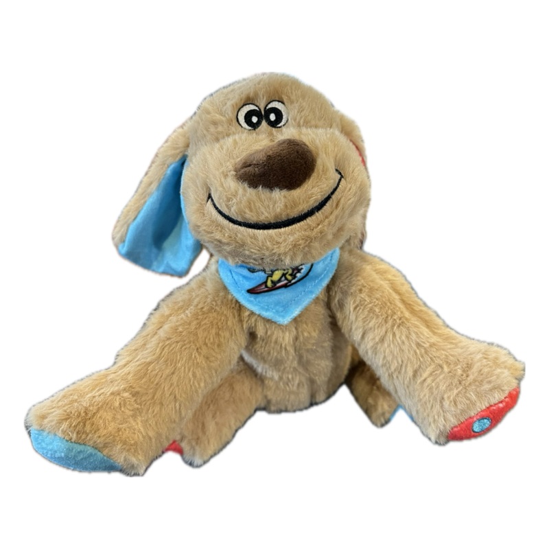 Clearwater BeachDogs FOCO 10″ Plush Dog