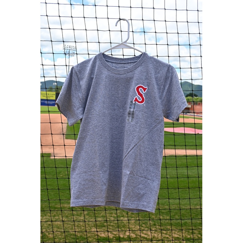 Salem Red Sox Baseballism Adult Gray Tee
