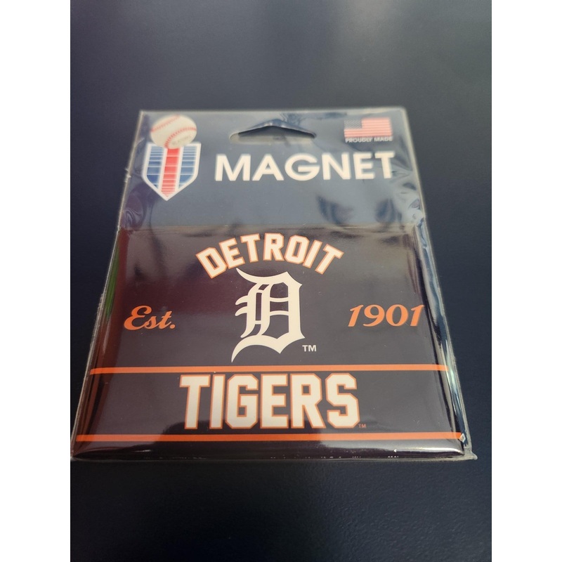 Detroit Fridge Magnet