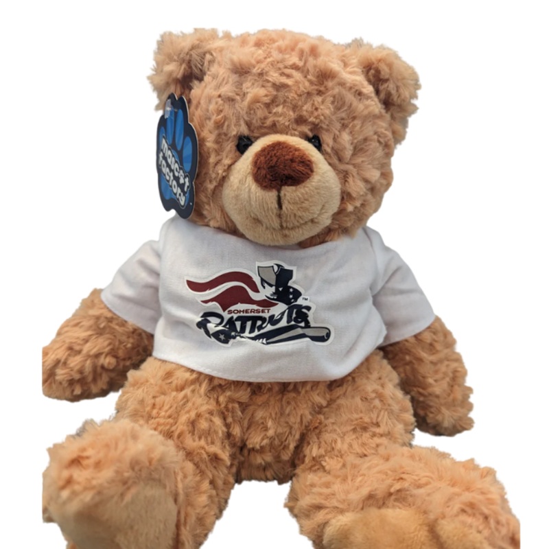 Tri-City ValleyCats Mini Golden Snitch Baseball