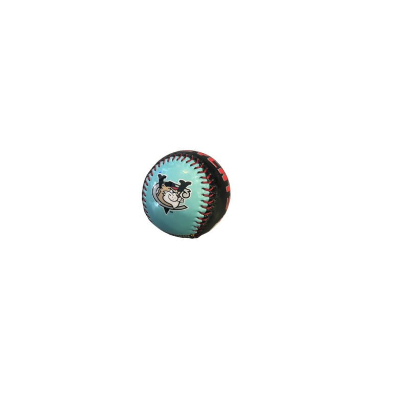 Tri City  ValleyCats 8Bit Baseball