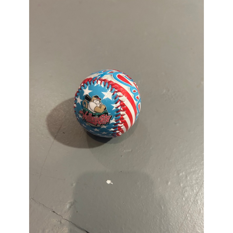 Tri-City ValleyCats Stars and Stripes Baseball