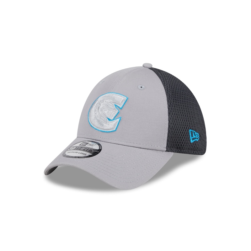 Evergreen Grey Outline 3930