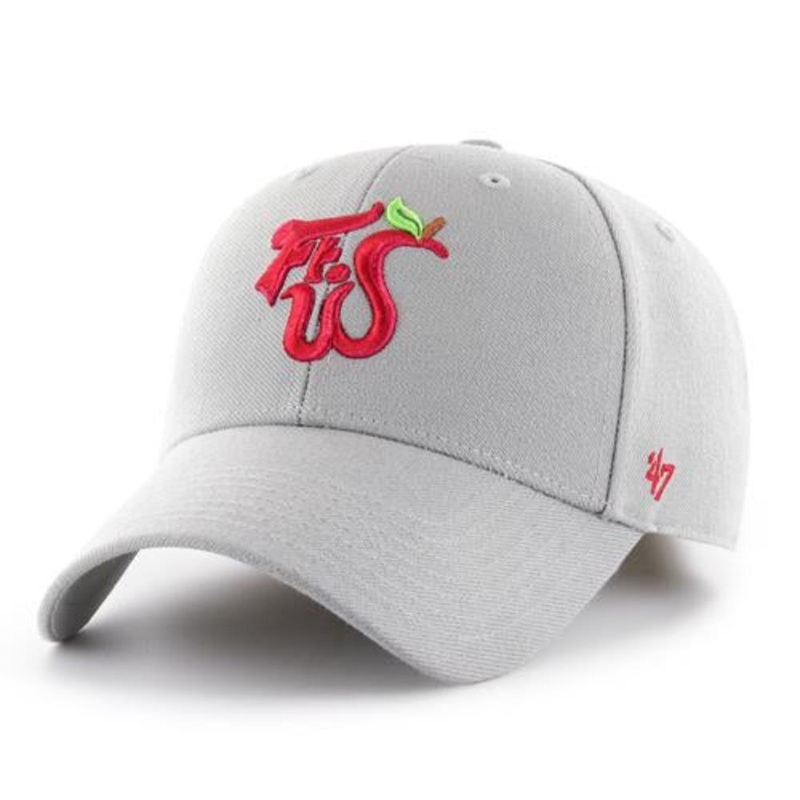 Fort Wayne TinCaps Gray FTW MVP BP Youth ’47