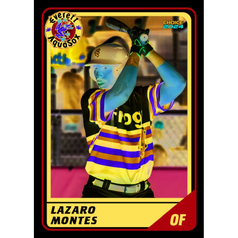 Everett AquaSox 2024 Team Card Set