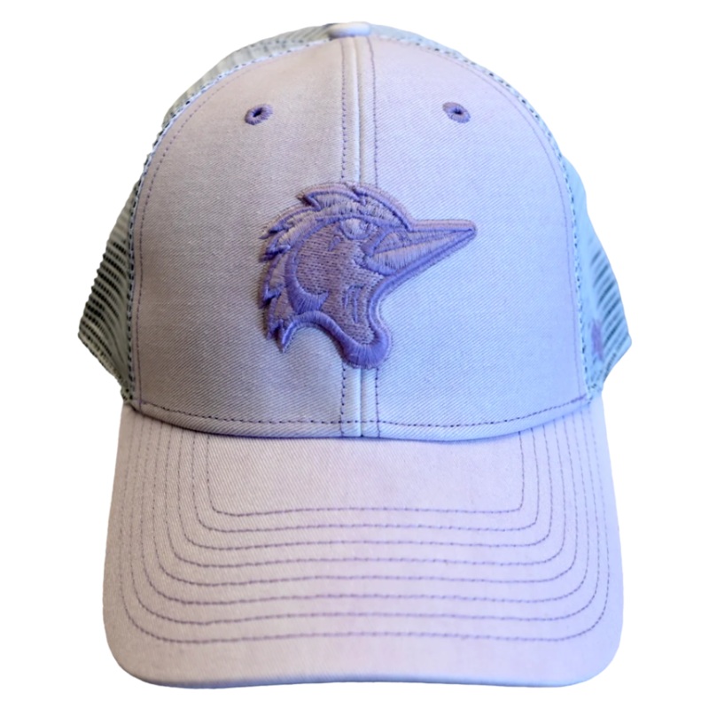 Fayetteville Woodpeckers ’47 Brand Women’s Haze MVP Cap