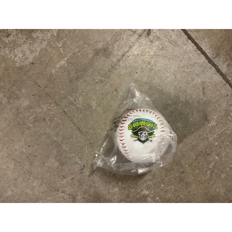 Bradenton Barbanegras Baseball