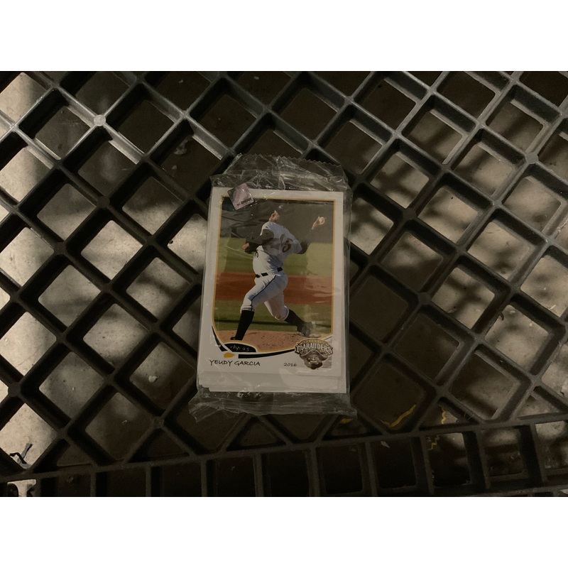 Bradenton Marauders 2016 Team Card Set