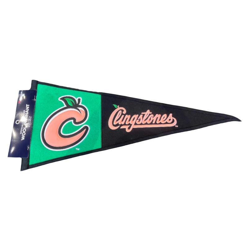 Primary Wool Pennant
