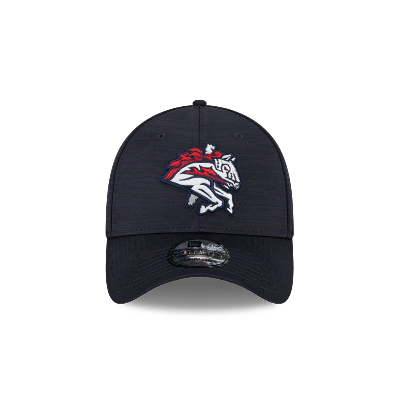 BRP New Era 39THIRTY Classic Flex Fit Home With Carousel Horse Logo