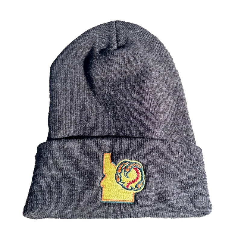 BOISE HAWKS STATE LOGO KNIT HAT