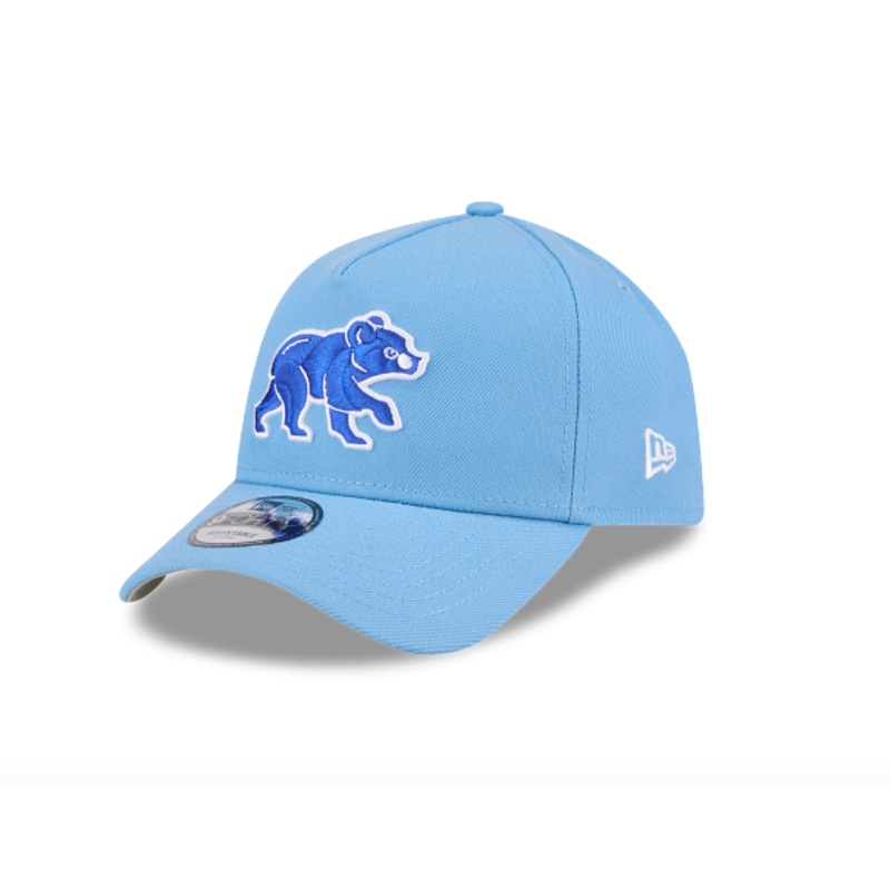 Men’s Chicago Cubs Poly Vintage 940 Cap-LtB-Adj