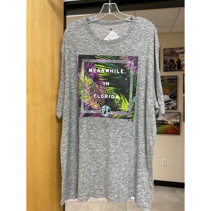 Spring Training 2017 Gray T-Shirt