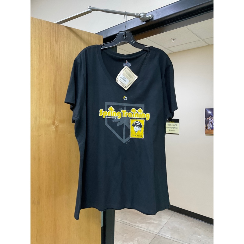 Ladies Vintage Spring Training Tee