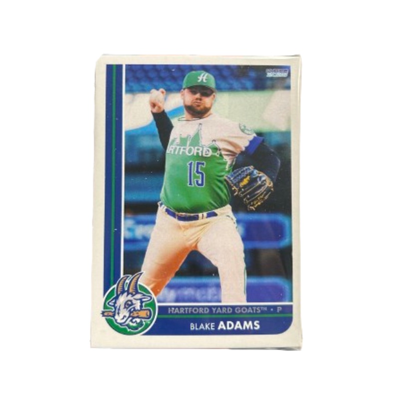 Hartford Yard Goats Choice Cards 2025 Team Set