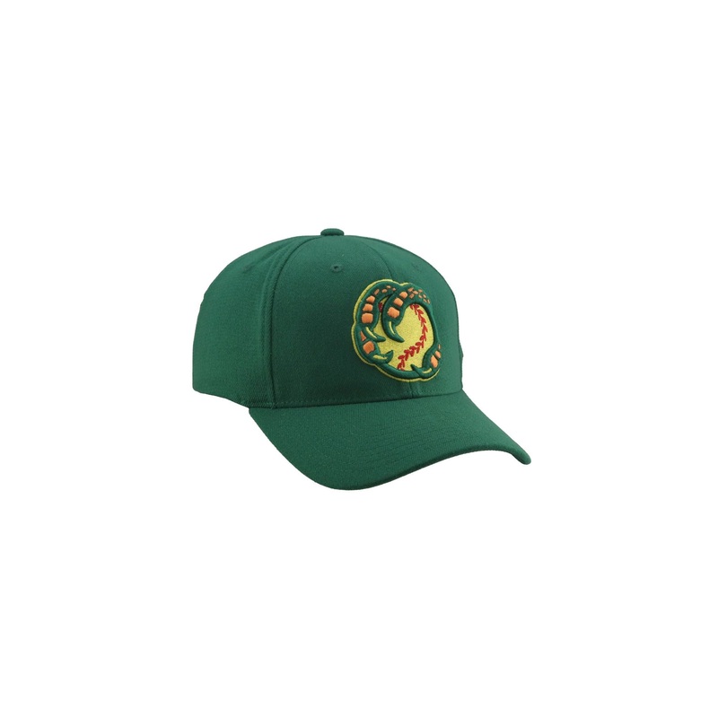 BOISE HAWKS HOME FLEX FIT HAT, GREEN