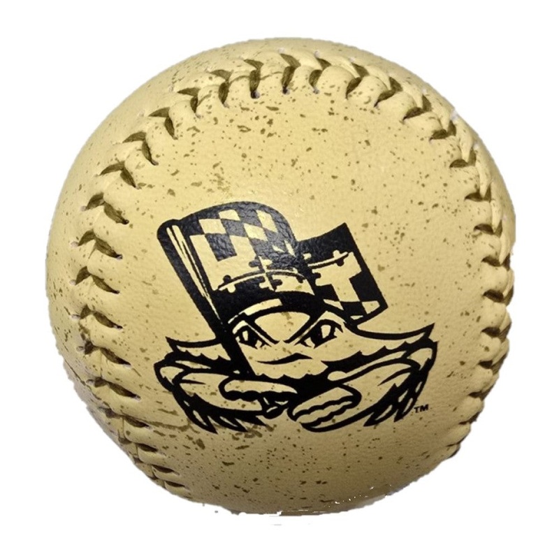 Chesapeake Baysox Rawlings Primary Logo Distressed Baseball