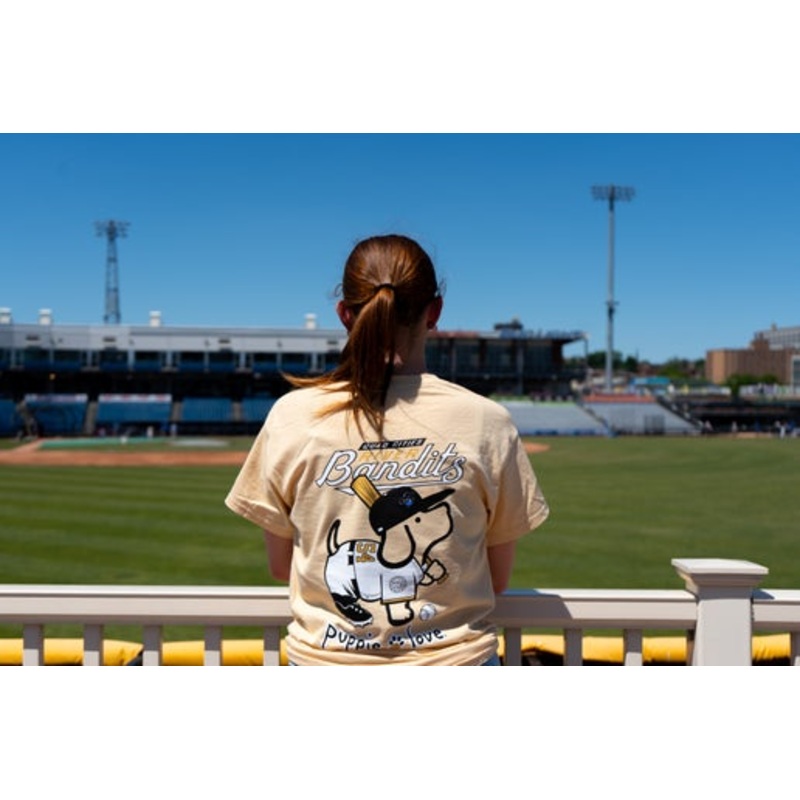 Puppie Love Bandits Baseball-Vegas Gold