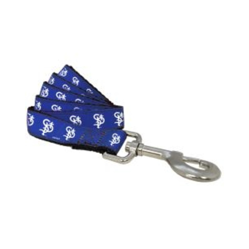 Saints 1″ Ribbon Logo Dog Leash