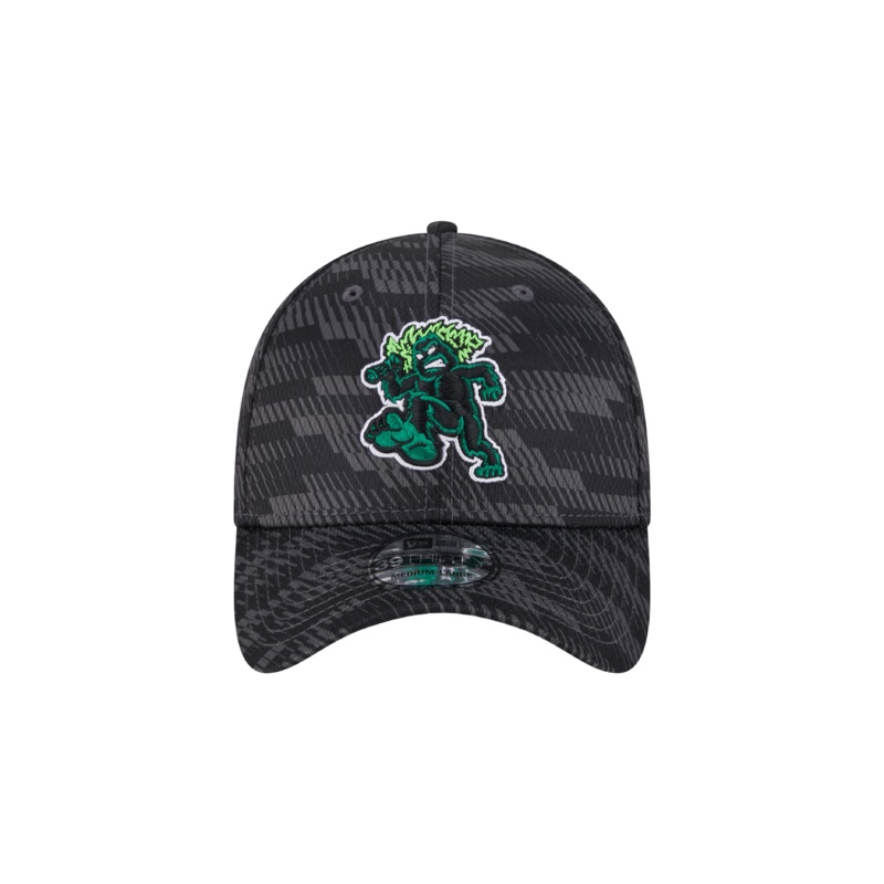 Eugene Emeralds New Era Home 39THIRTY Clubhouse Collection