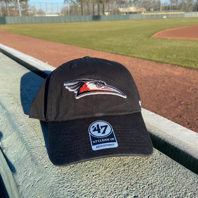 Delmarva Shorebirds 47′ Home Logo Black Clean Up