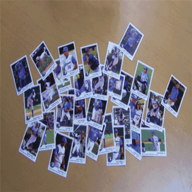 Myrtle Beach Pelicans Choice Sportscards 2010 Team Set