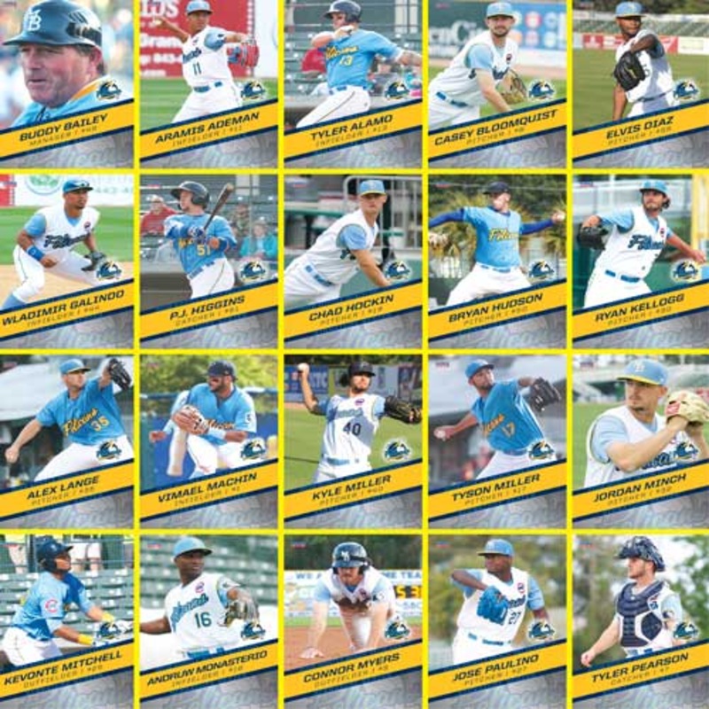 Myrtle Beach Pelicans Choice Sportscards 2018 Team Set