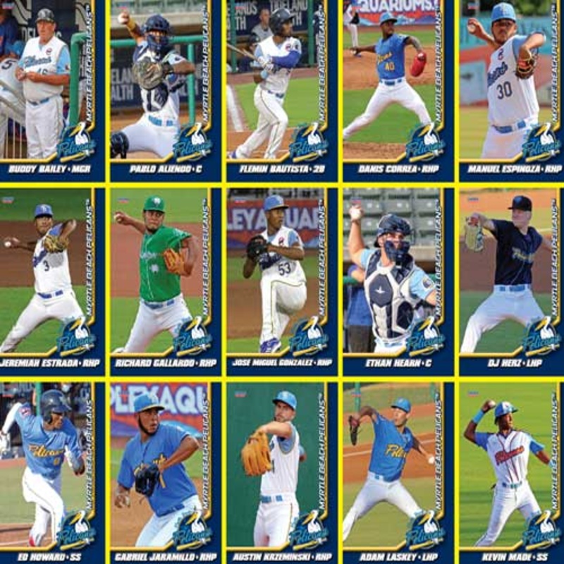 Myrtle Beach Pelicans Choice Sportscards 2021 Team Set