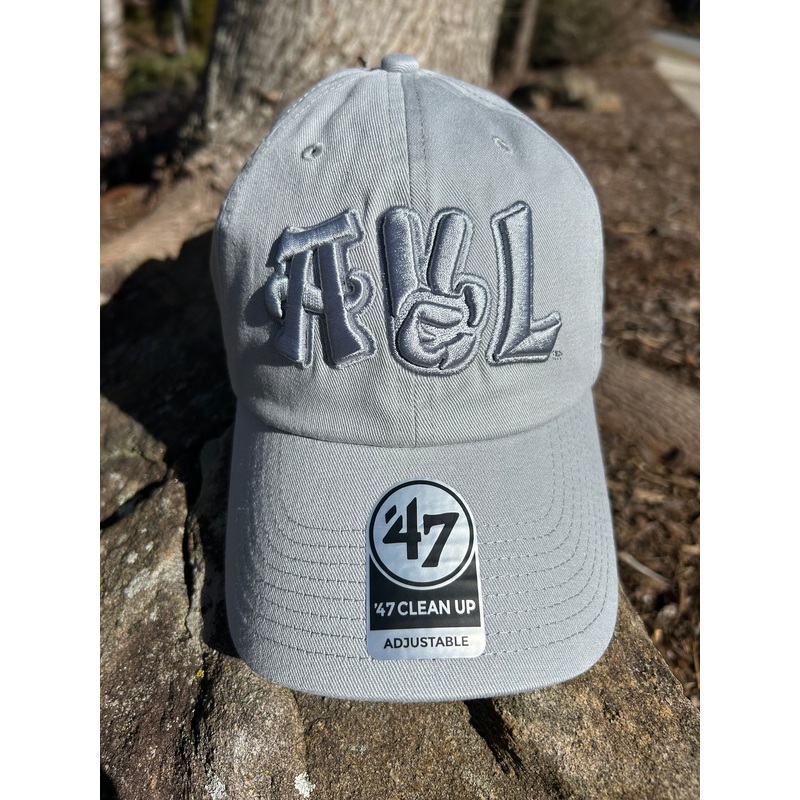 The Asheville Tourists AVL ’47 Clean Up