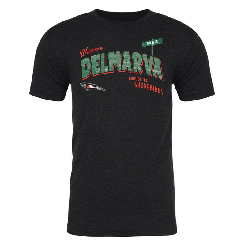 Delmarva Shorebirds 108 Stitches Postcard Tee