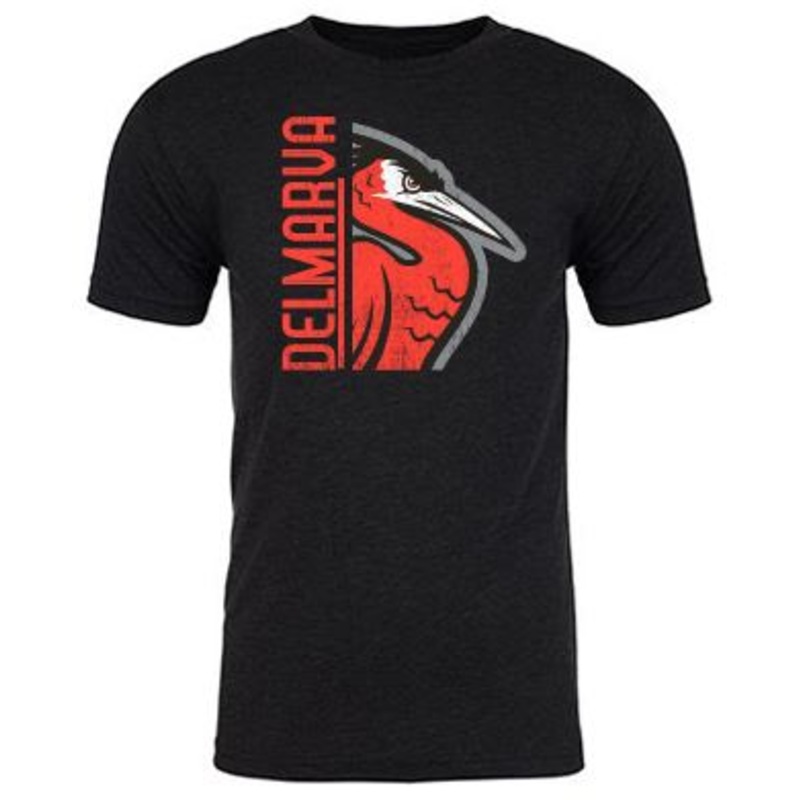 Delmarva Shorebirds 108 Stitches Split Screen Tee