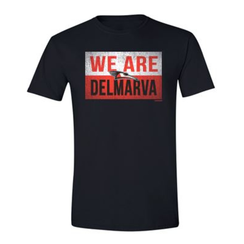 Delmarva Shorebirds 108 Stitches We Are Tee