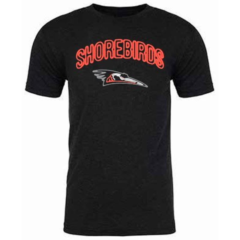 Delmarva Shorebirds 108 Stitches Neon Tee