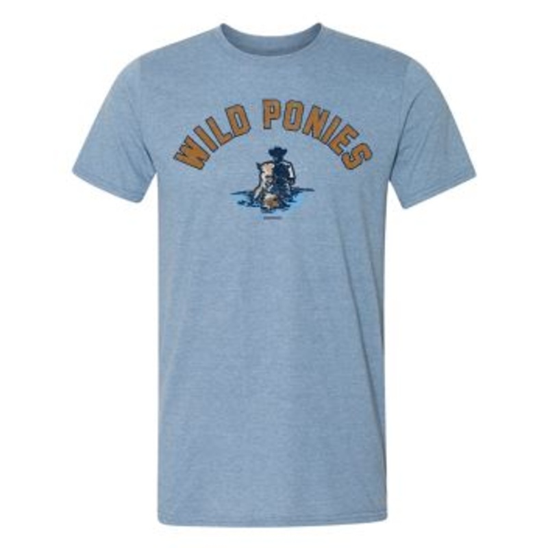 Delmarva Shorebirds 108 Stitches Wild Ponies Game Day Tee
