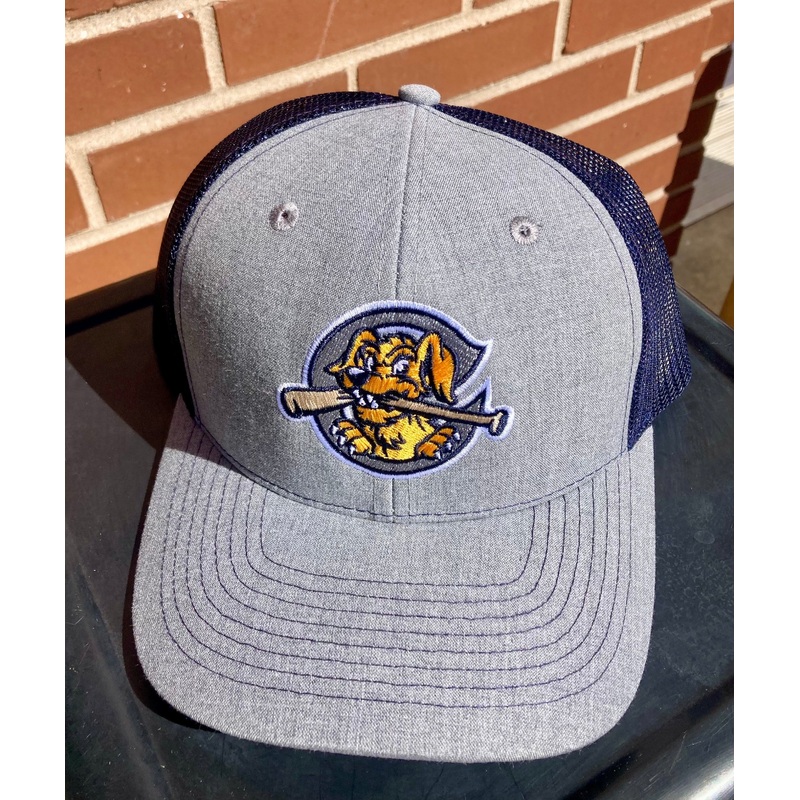 Charleston RiverDogs Marled Shea Navy Snapback