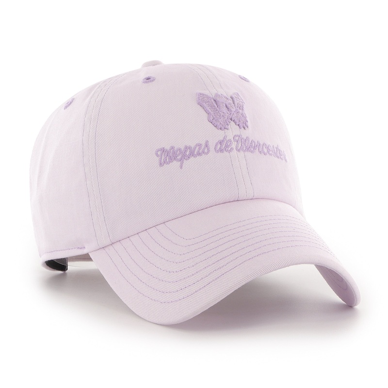 Los Wepas de Worcester  Cosmos Wepa Haze Clean up