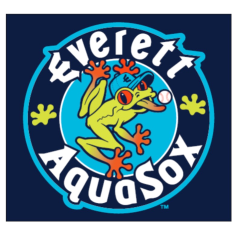 Everett AquaSox Sweatshirt Blanket