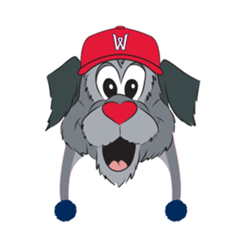 Worcester Red Sox Woofster Thematic Plush Headwear