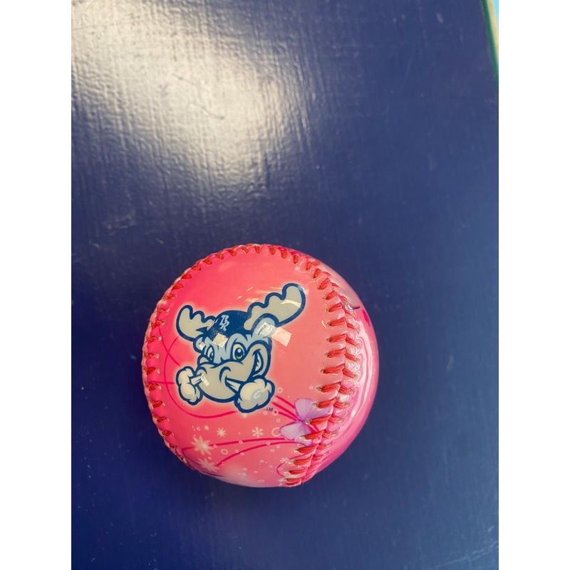 Pink Flowers Baseball