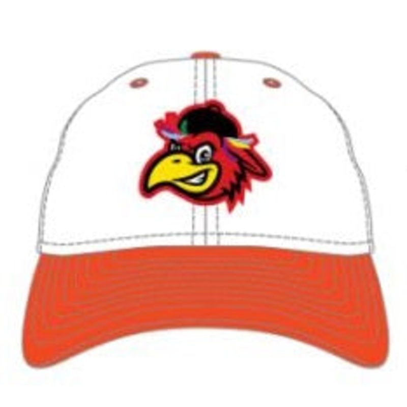Delmarva Shorebirds New Era Sherman TNC 9Twenty Adjustable Cap
